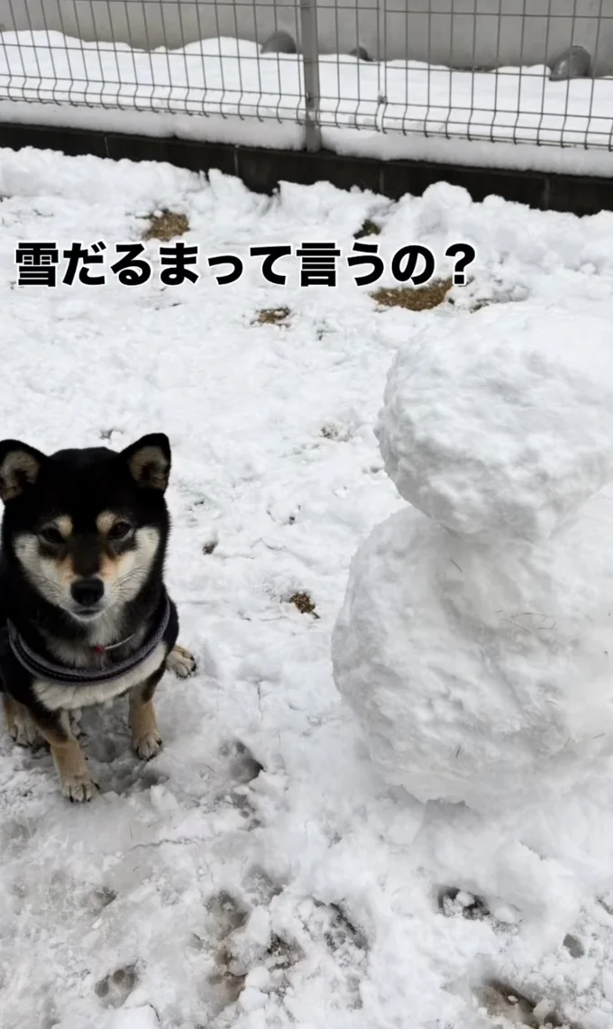 雪だるまが完成！▶いつもは甘えん坊でおちゃめさん（⇒次へ）