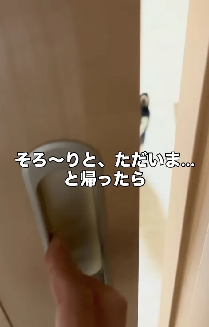 そーっと開ける▶チラッと見えてる…（⇒次へ）