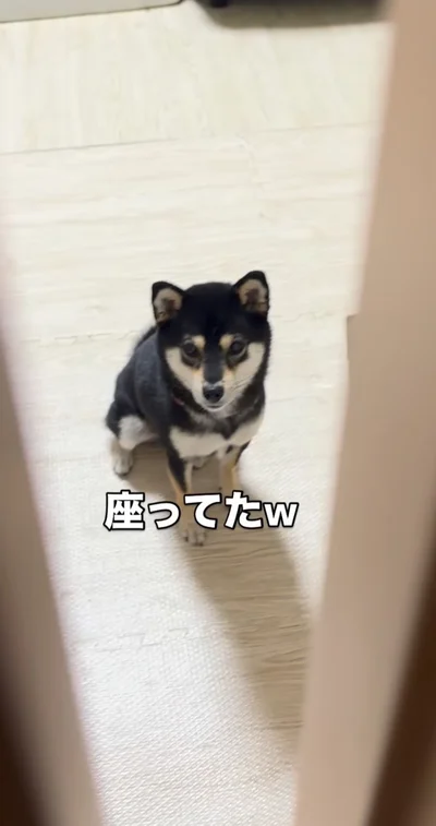 ドアの前で待機してた▶閉めて、再び開けると…（⇒次へ）