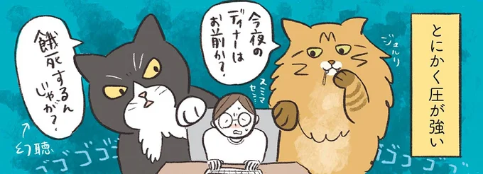 とにかく圧が強い