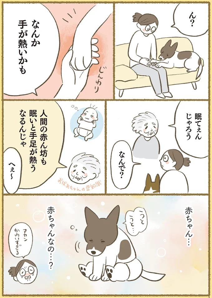 『犬猫３匹、撫でても撫でても手が足りない』より