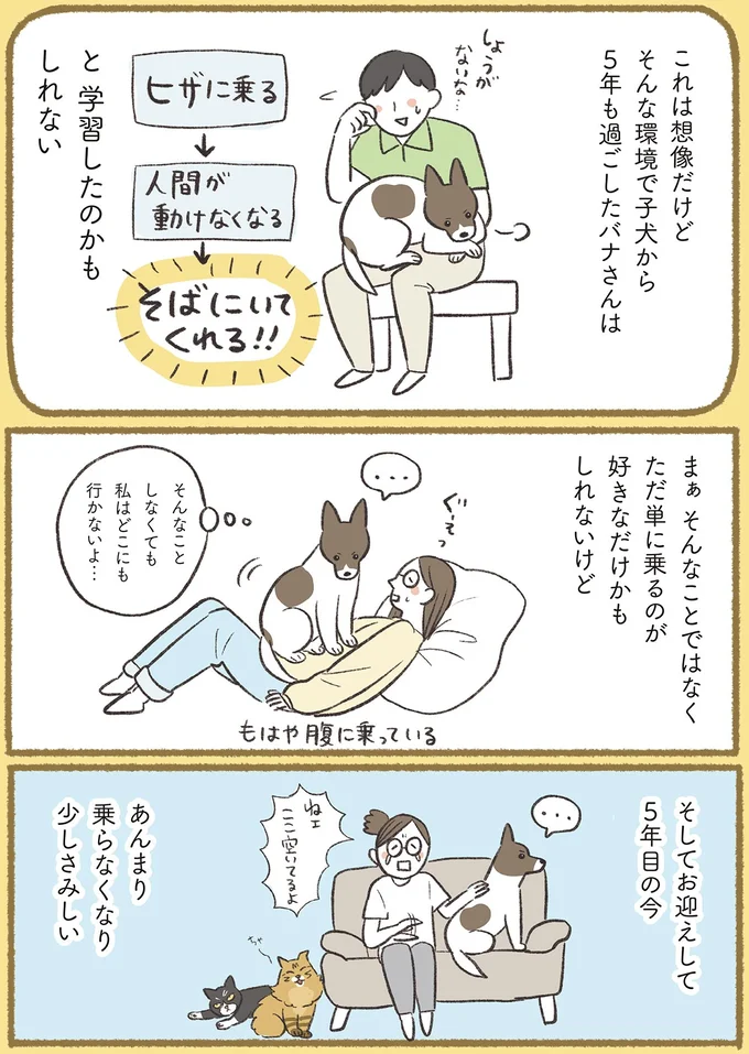 『犬猫３匹、撫でても撫でても手が足りない』より