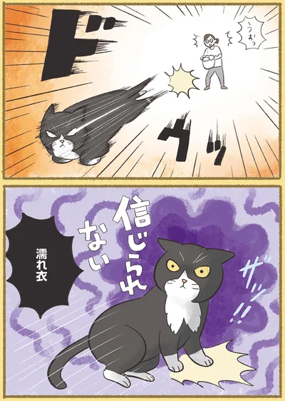 『犬猫３匹、撫でても撫でても手が足りない』より