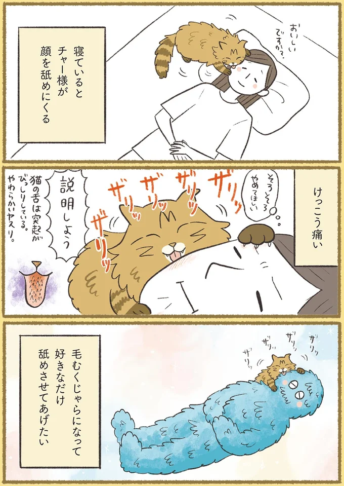 『犬猫３匹、撫でても撫でても手が足りない』より