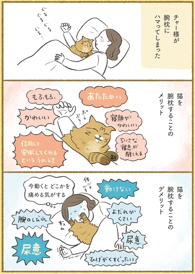 『犬猫３匹、撫でても撫でても手が足りない』より