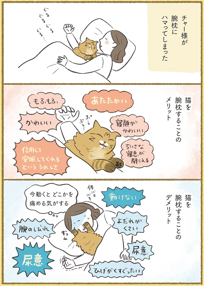 『犬猫３匹、撫でても撫でても手が足りない』より