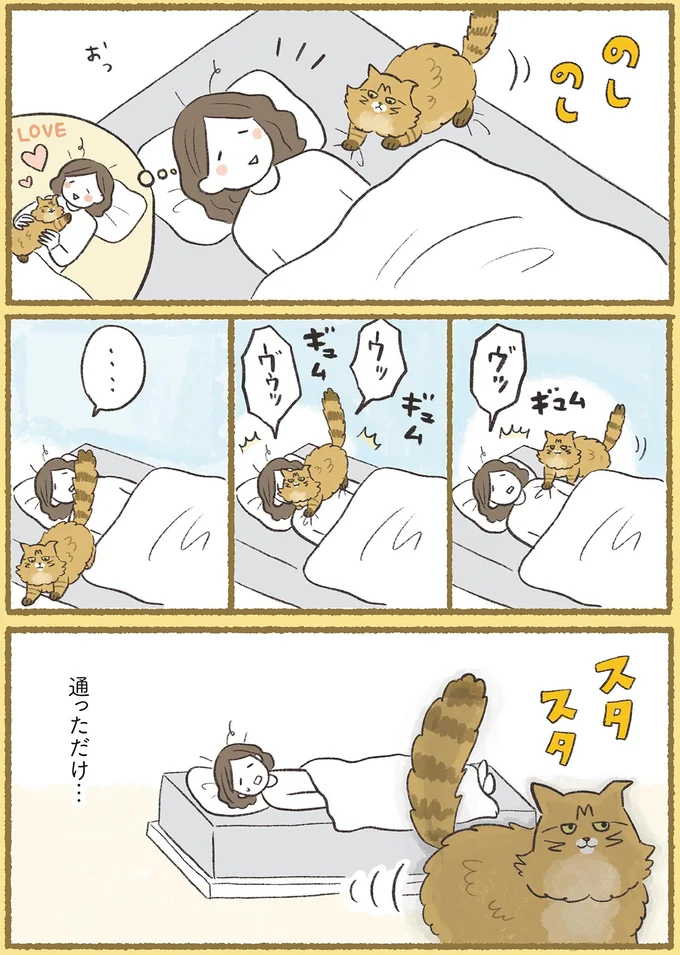 『犬猫３匹、撫でても撫でても手が足りない』より