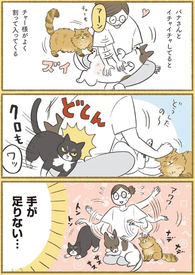 『犬猫３匹、撫でても撫でても手が足りない』より