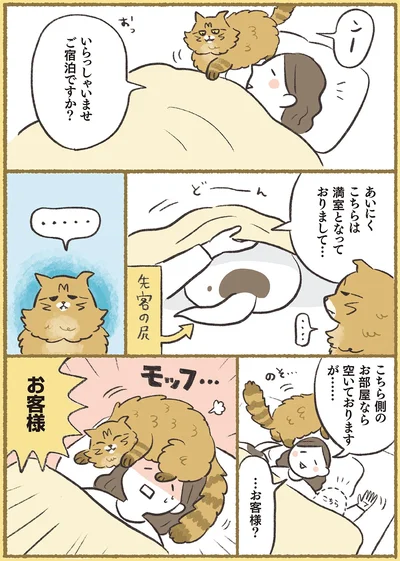 『犬猫３匹、撫でても撫でても手が足りない』より