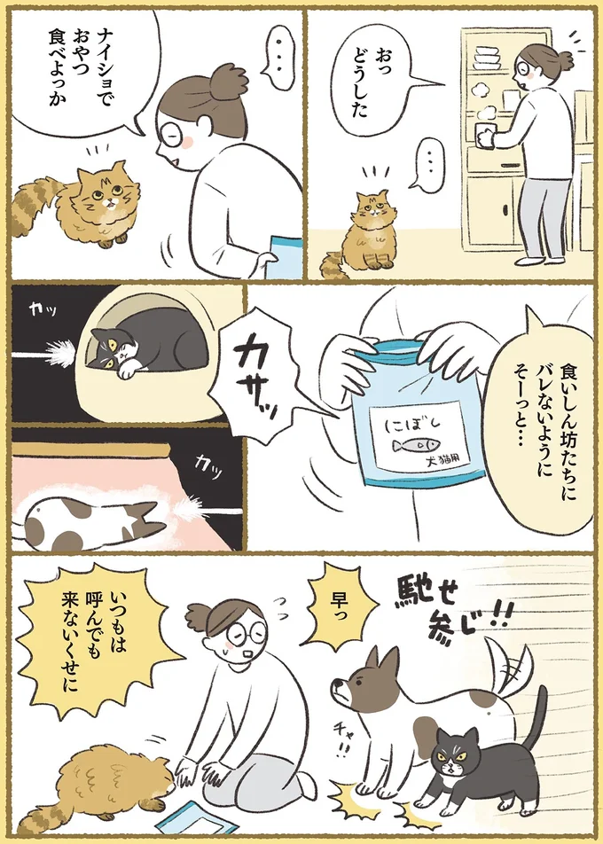 『犬猫３匹、撫でても撫でても手が足りない』より