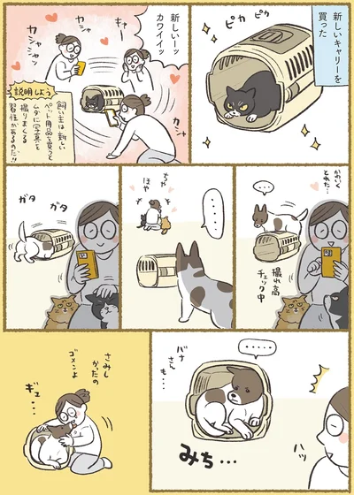 『犬猫３匹、撫でても撫でても手が足りない』より