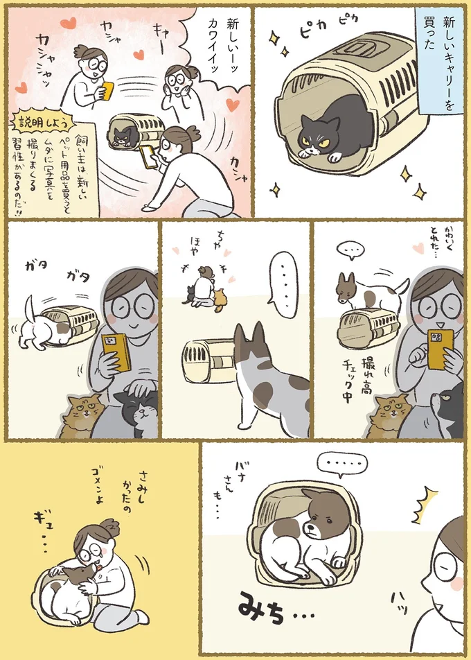 『犬猫３匹、撫でても撫でても手が足りない』より