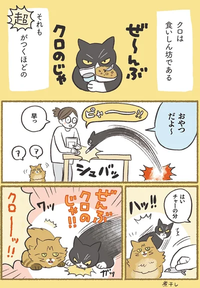 『犬猫３匹、撫でても撫でても手が足りない』より