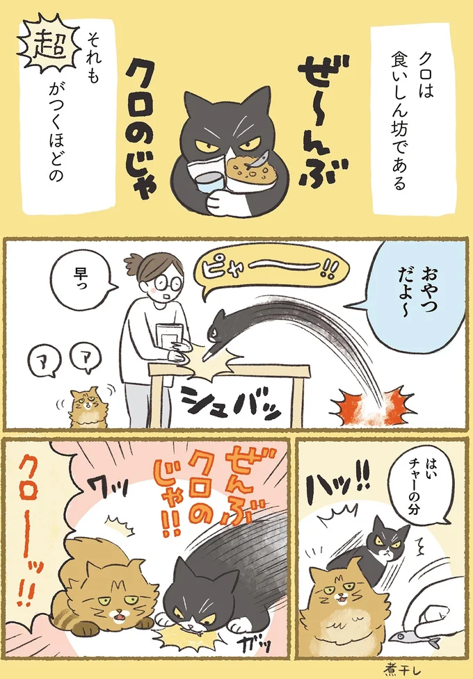 『犬猫３匹、撫でても撫でても手が足りない』より