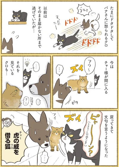 『犬猫３匹、撫でても撫でても手が足りない』より