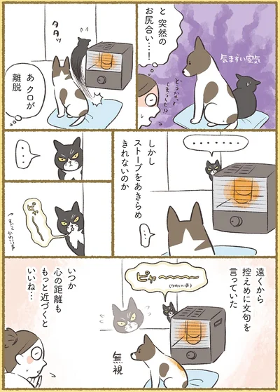 『犬猫３匹、撫でても撫でても手が足りない』より