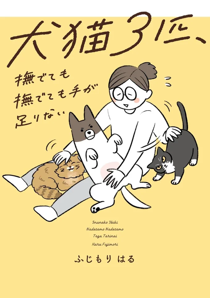 『犬猫３匹、撫でても撫でても手が足りない』