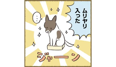 ムリヤリ入った