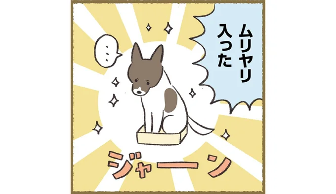 ムリヤリ入った