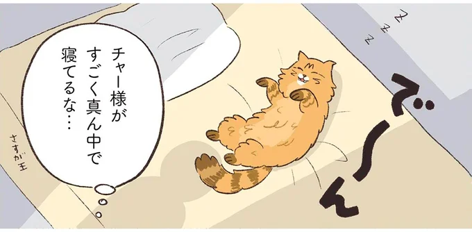 すごく真ん中で寝てるな…