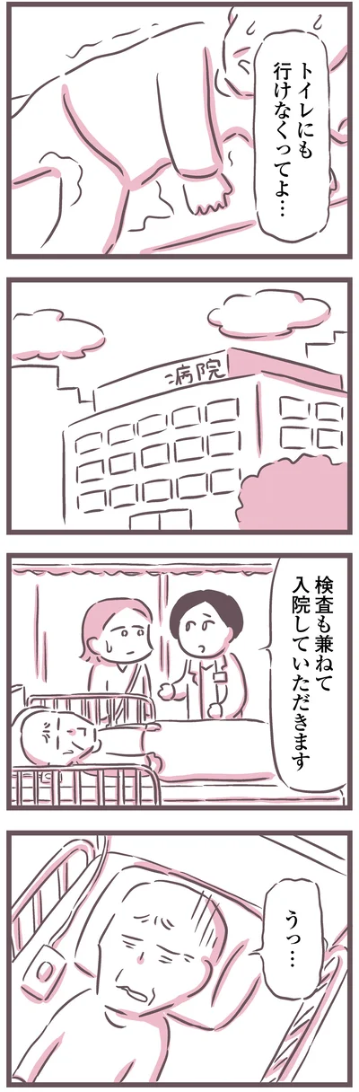 検査も兼ねて入院していただきます