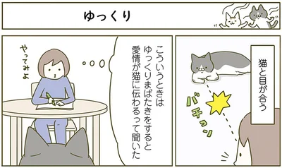 ゆっくり