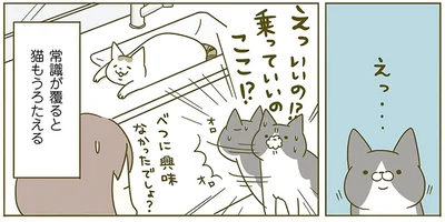 猫もうろたえる