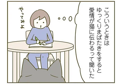 まばたきで愛を伝えたい！