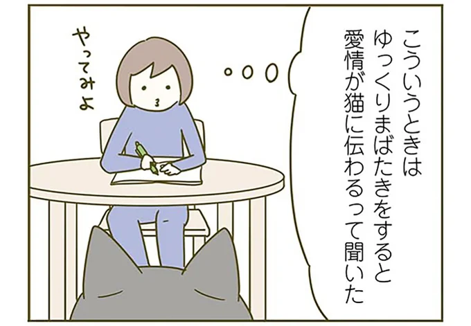 まばたきで愛を伝えたい！