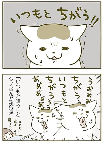 いつもとちがう!!