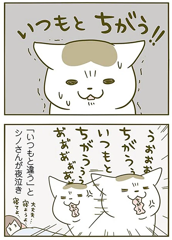 いつもとちがう!!