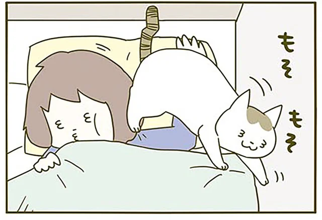 とある春の日の出来事。「おいでなすったな」猫飼いあるあるな季節