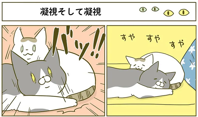 凝視そして凝視