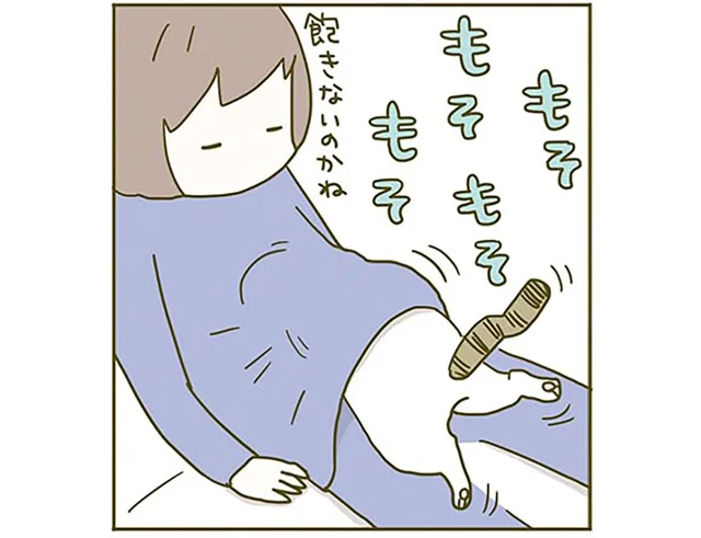 隙あらば飼い主の服に入り込む猫。飽きないのかなと動きを見ていると