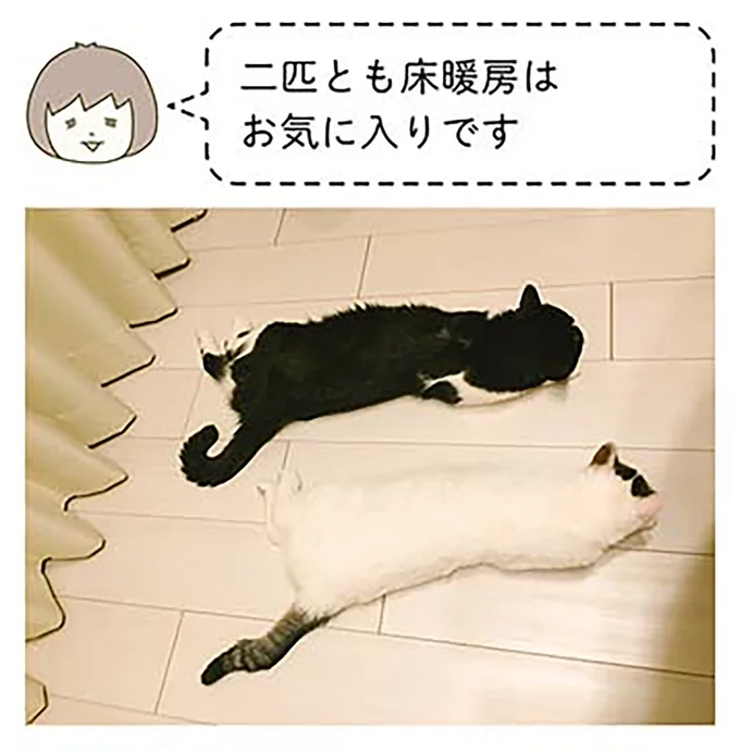 床暖房はお気に入り