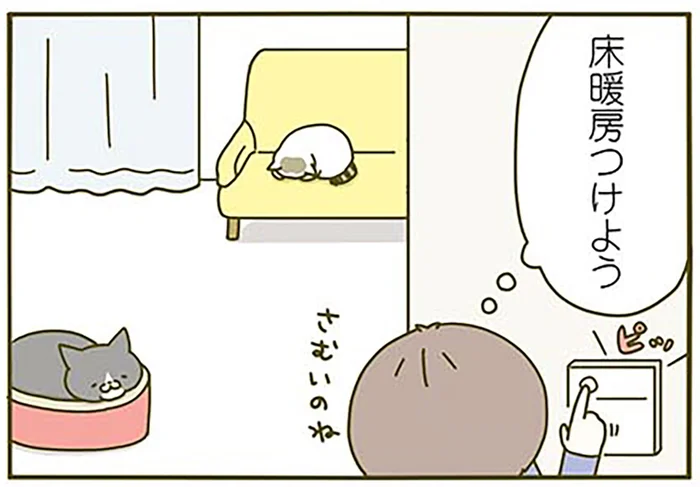 「床暖房つけよう」寒がる猫たちを見た数分後、ぬくぬく床が誕生するけれど