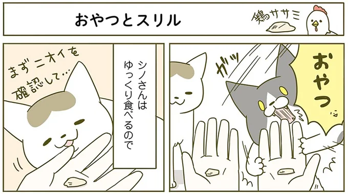 おやつとスリル