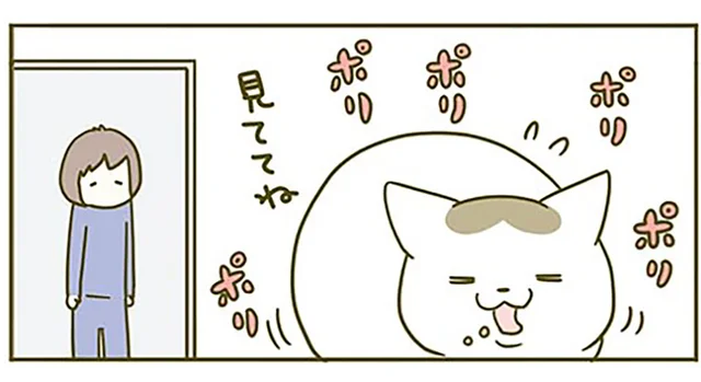 「カリカリ食べるから見ててね」食事の様子を見てほしい猫 VS 仕事したい飼い主