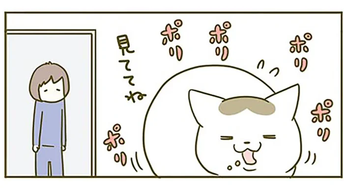 「カリカリ食べるから見ててね」食事の様子を見てほしい猫 VS 仕事したい飼い主
