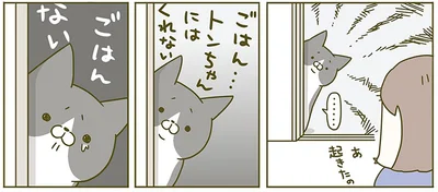 ごはんない
