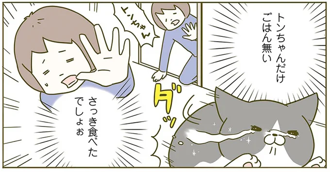 さっき食べたでしょぉ