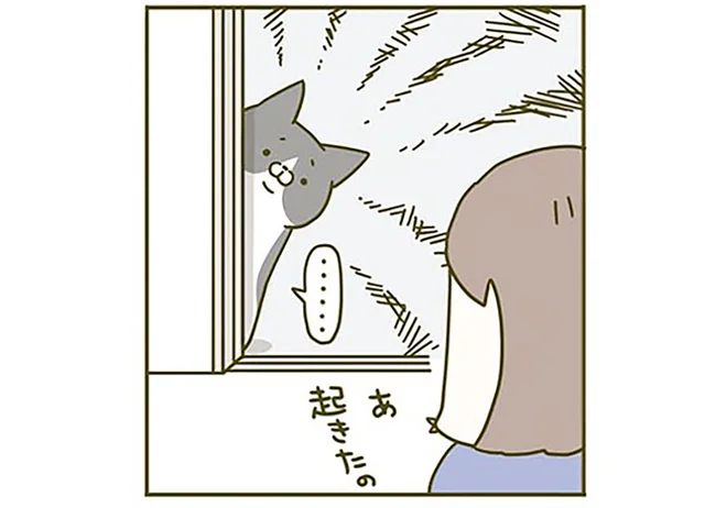 ものすごい見てる。「自分だけごはんがない」くいしんぼ猫が悲しそうにするけれど