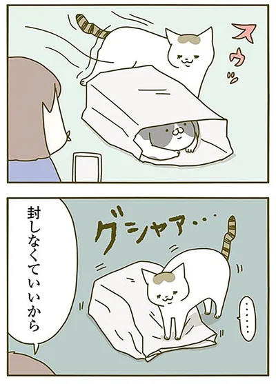 封しなくていいから