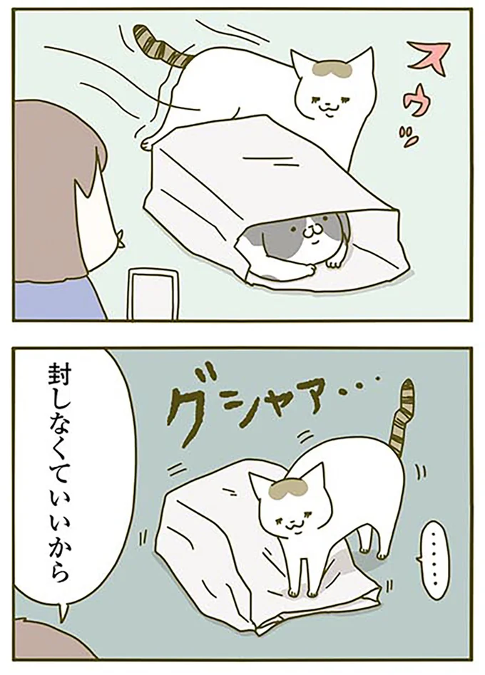 封しなくていいから