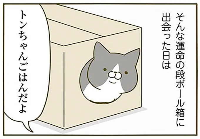 運命の段ボール箱