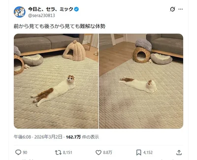 前から見ても後ろから見ても難解な体勢▶後ろから見ると…（⇒次へ）