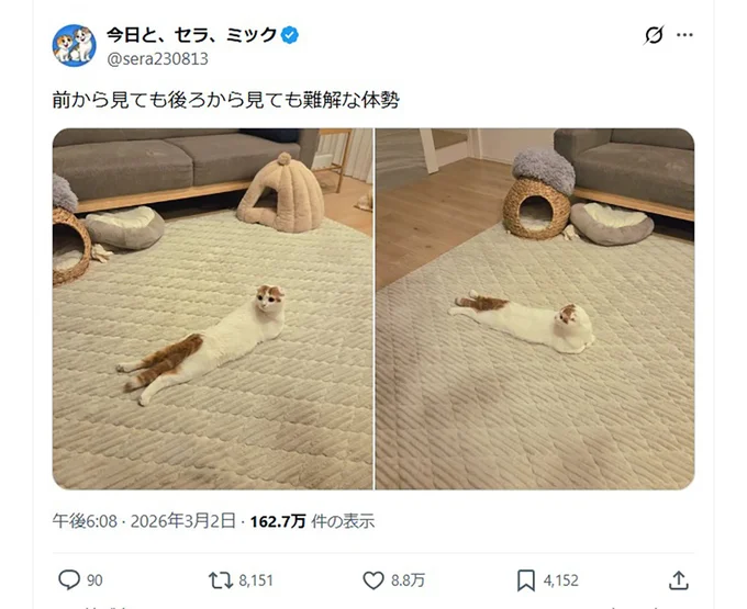 前から見ても後ろから見ても難解な体勢▶後ろから見ると…（⇒次へ）