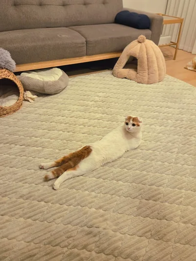 腹筋してる？▶前から見ると…（⇒次へ）