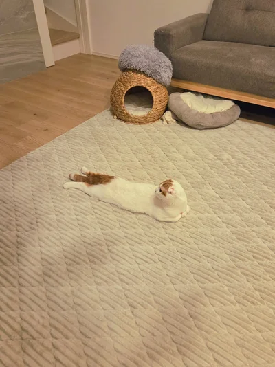 ちょっとセクシー？▶相手は逃げられない（⇒次へ）