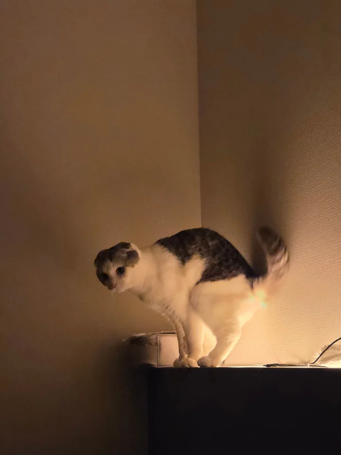 ライト効果で必殺技を出しそうに見えるセラくん▶トップアイドル？（⇒次へ）